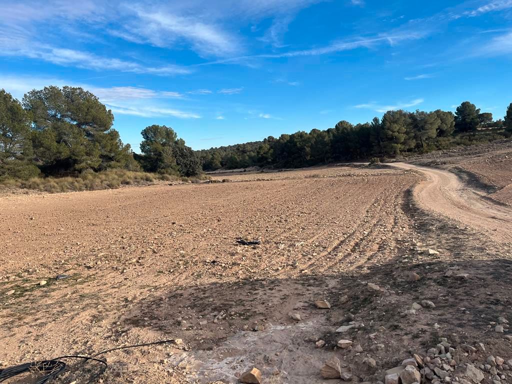 Land for sale in Hellín