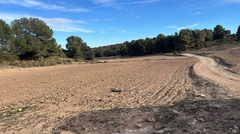 Finca rustica de 538 hectareas en la provincia de Albacete, immagine 3