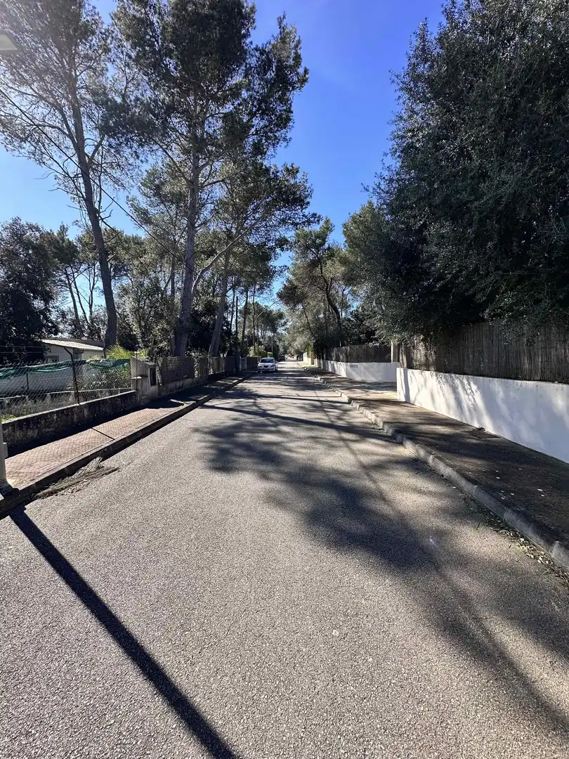 Terrenys i solars en venda a Sa Pobla, imagen 6