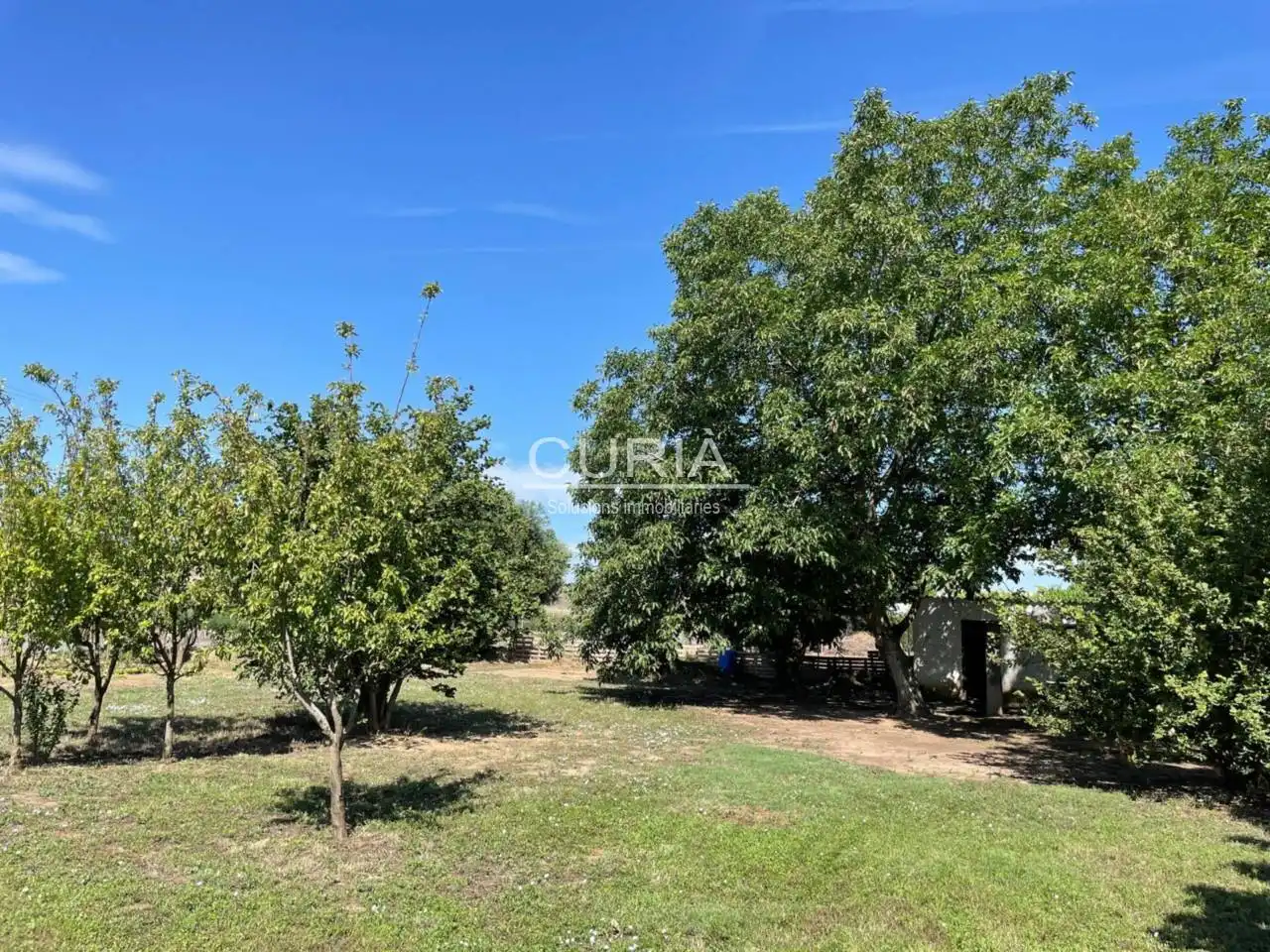 Land for sale in Cappont
