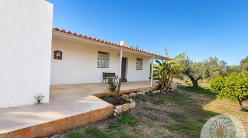 Foto 5 de Finca rústica en venta en Constitució, L'Ametlla de Mar pueblo, L'Ametlla de Mar
