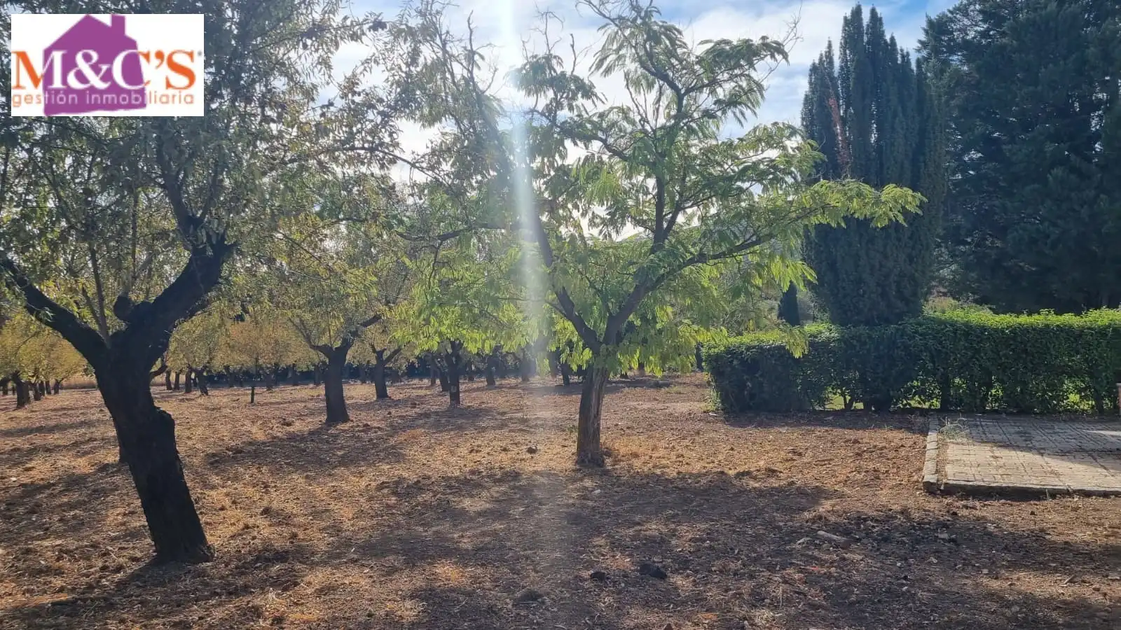 Chalet con terraza en venta en Almodóvar del Campo, imagen 4