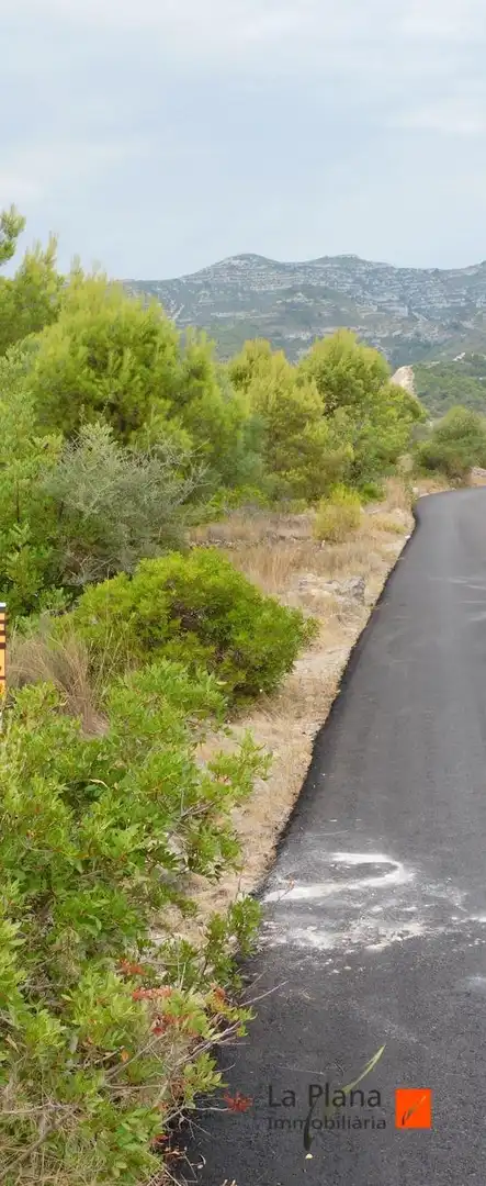 Terreno rustico in vendita a Alcanar, imagen 4