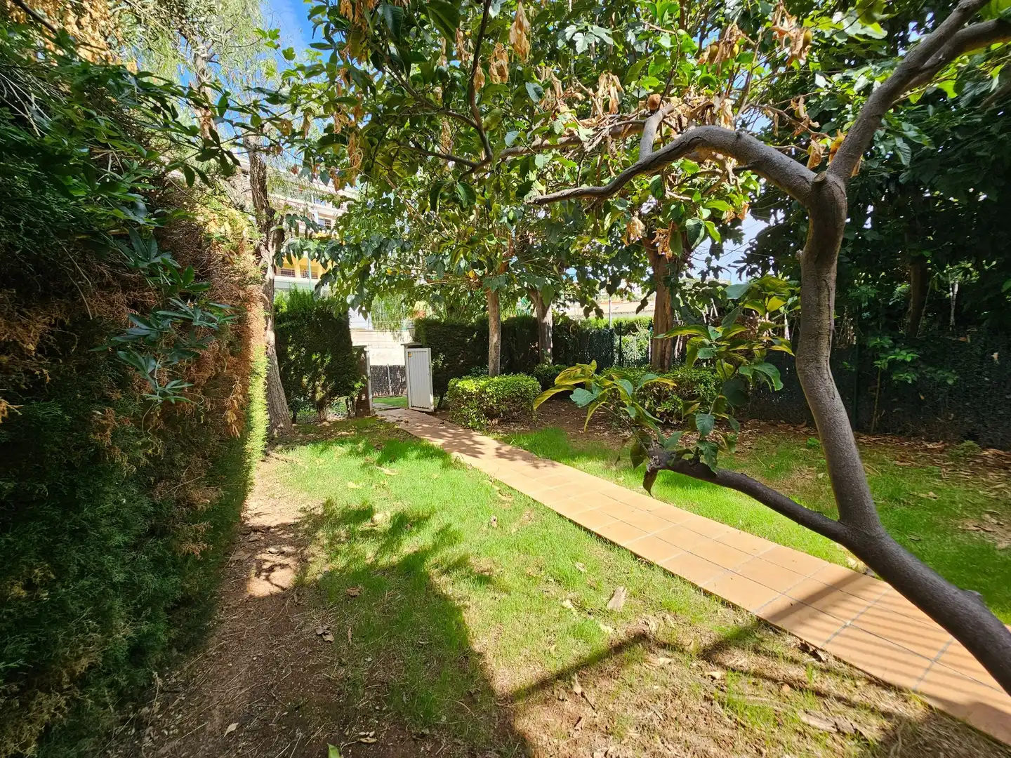Haus mit Pool zum Verkauf in Juan Ramon Jimenez, imagen 7