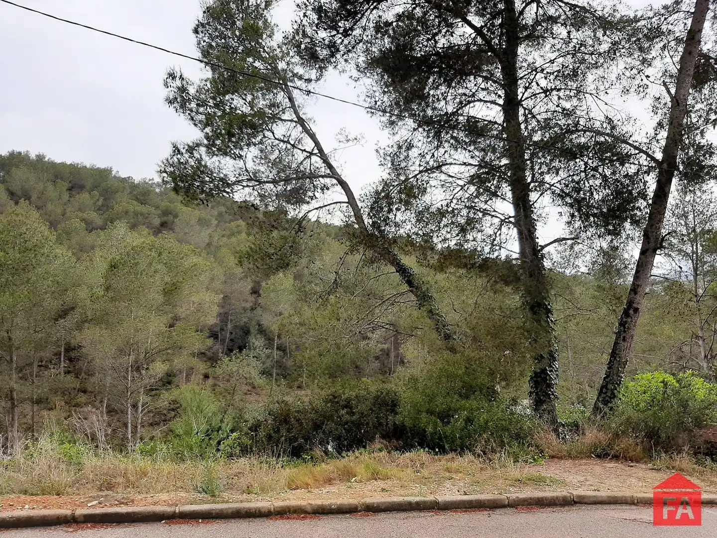 Terreno rustico in vendita a La Bisbal del Penedès, imagen 3