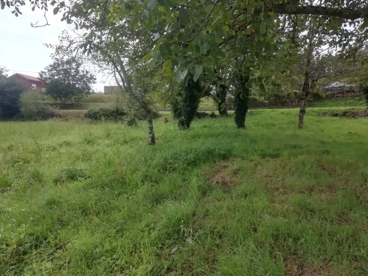 Terreny residencial en venda a Lugar Avieira, imagen 4