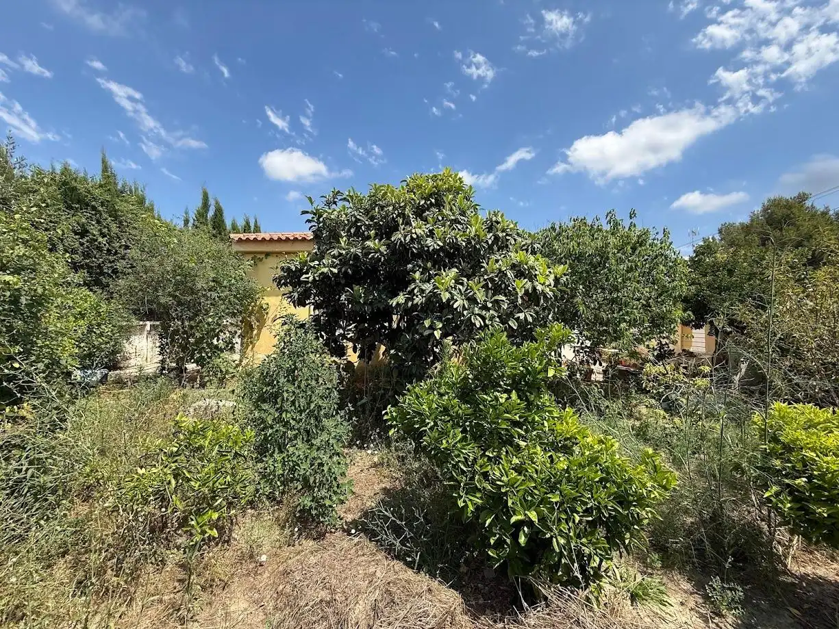 Detached house with pool for sale in Montserrat, imagen 60