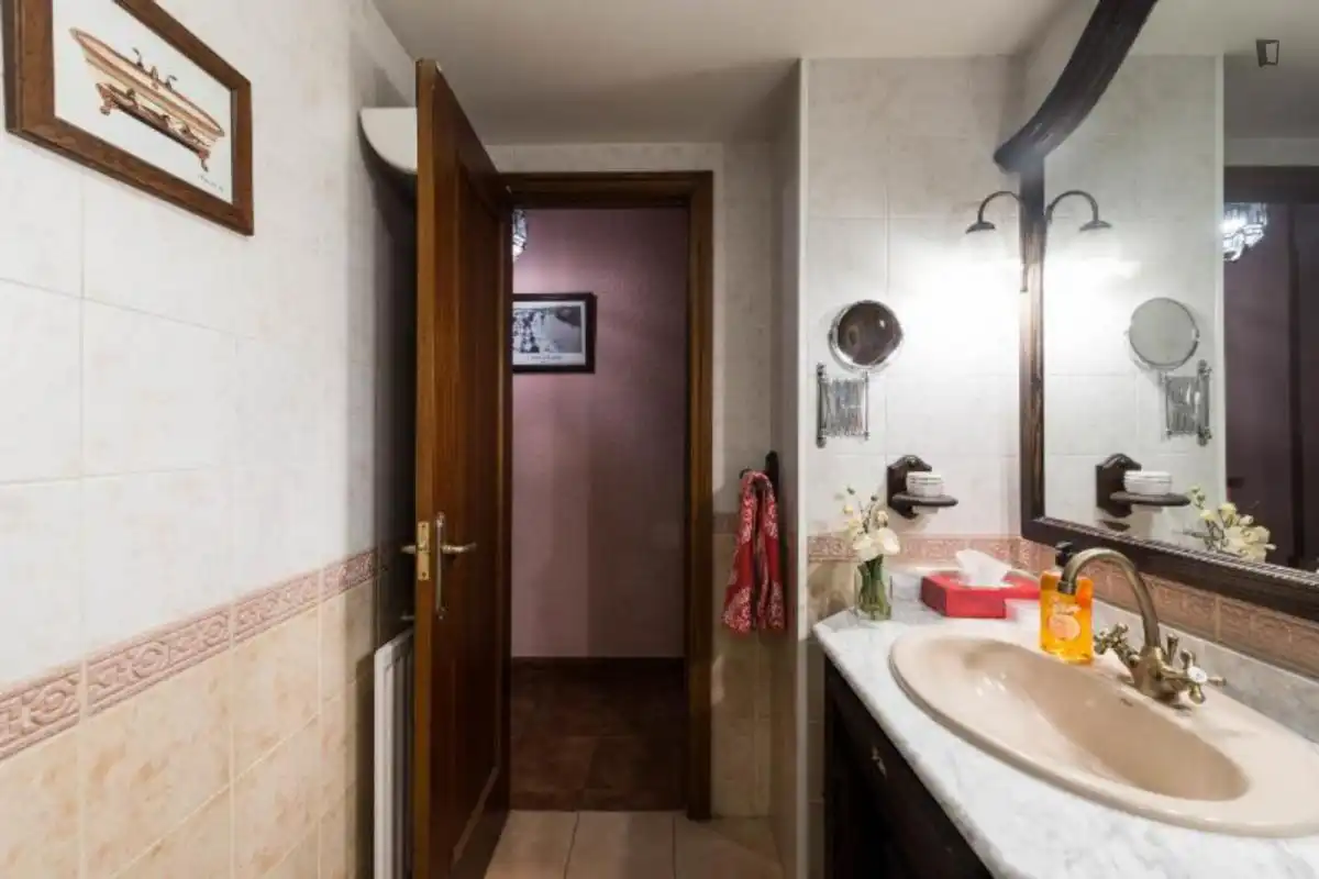 Bathroom of Apartments for rent in Madrid  with Air Conditioner, Heating and Furnished
