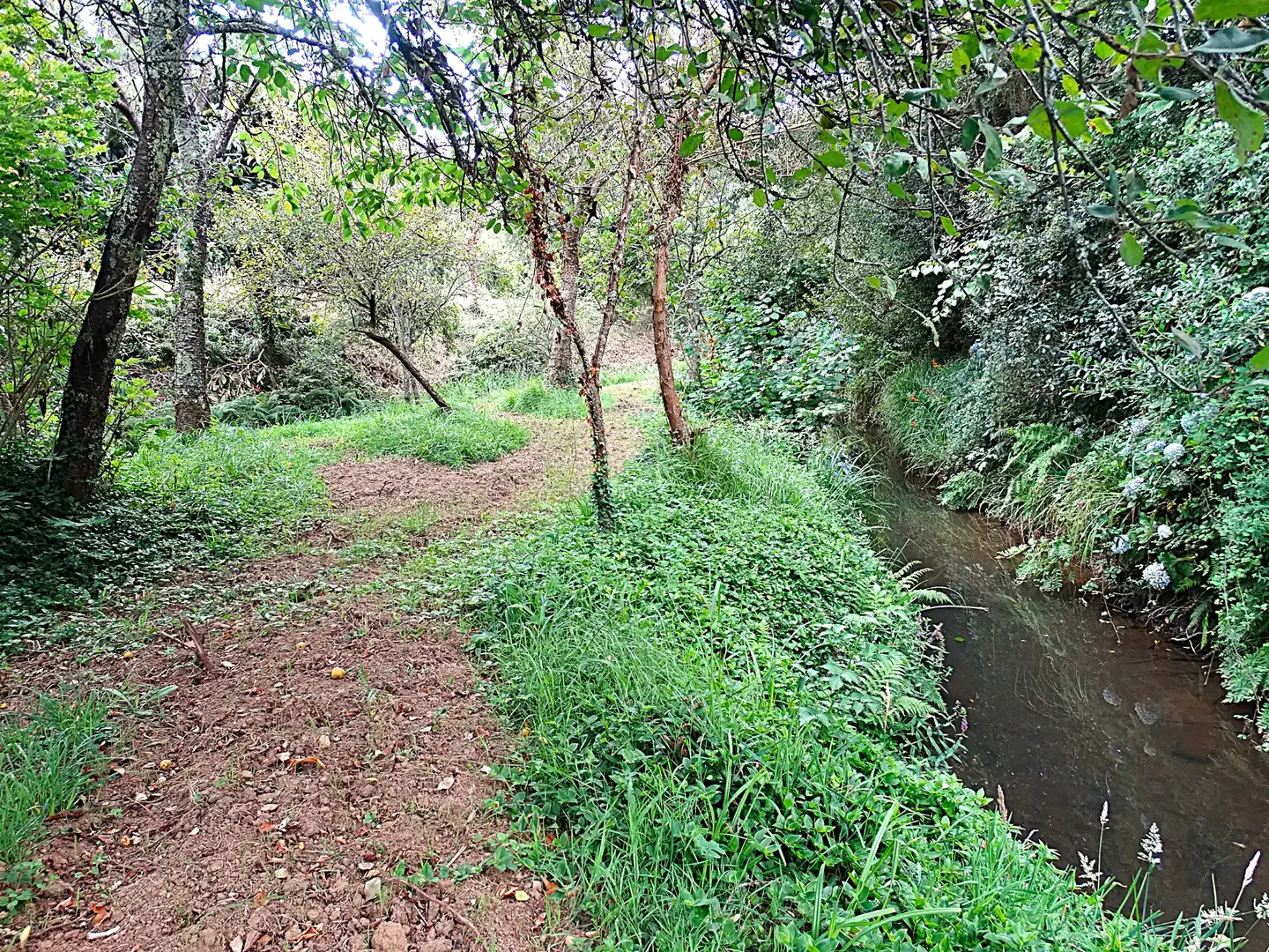 Finca rústica en venda en Narón amb Calefacció, Jardí privat i Parquet
