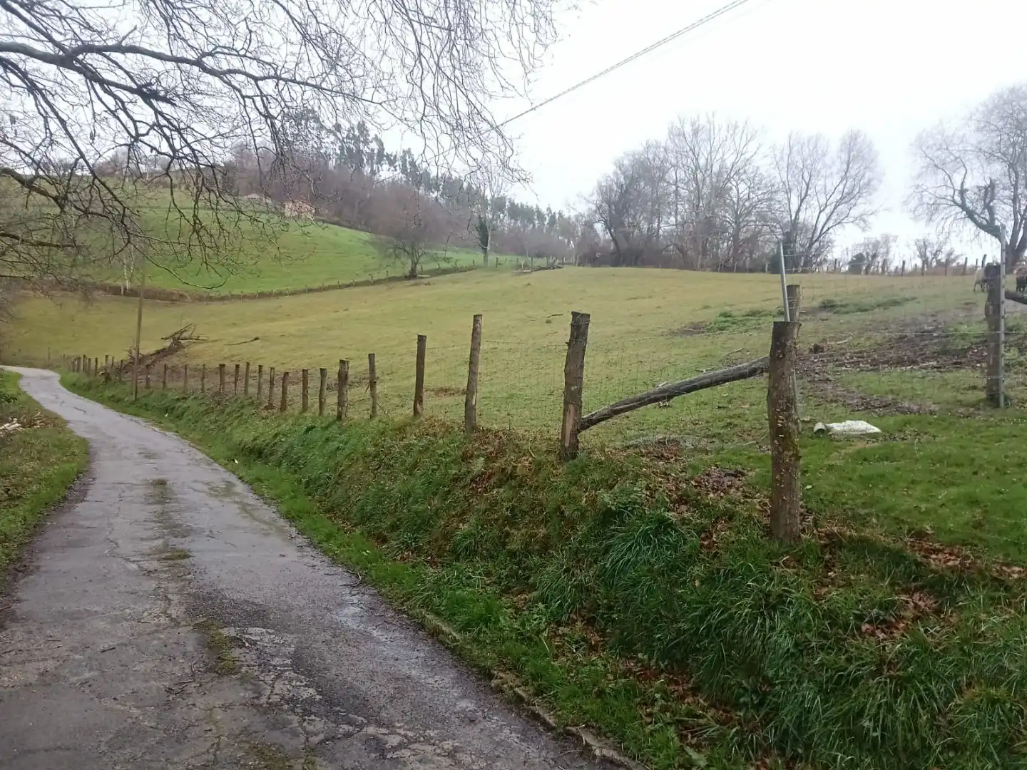 Grundstücke zum Verkauf in Nava