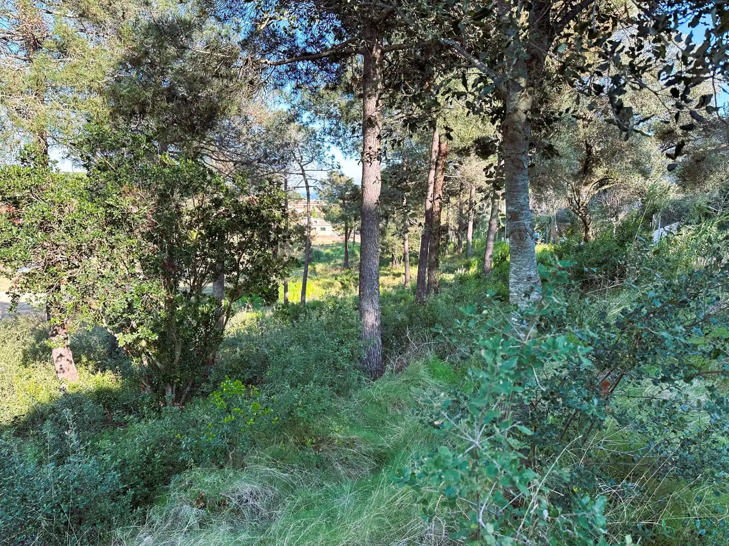 Residential for sale in Sant Pol de Mar