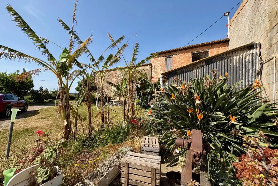 Terreny rústic en venda a Ardiaca - La Llosa, imagen 6