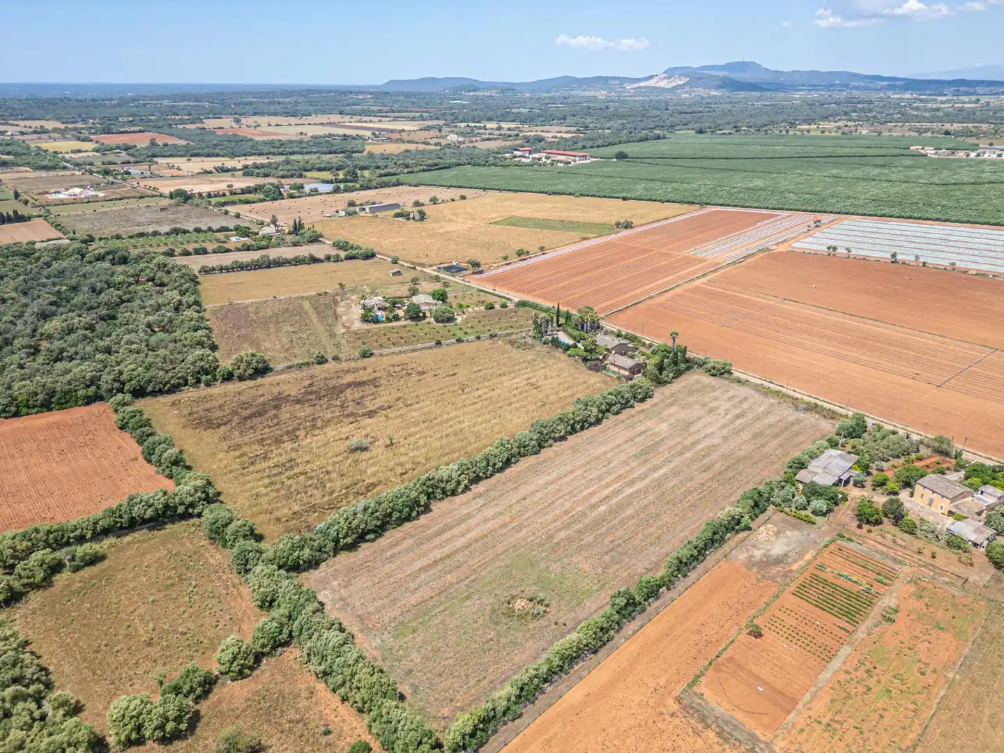 Rural land for sale in Felanitx Poble, imagen 26