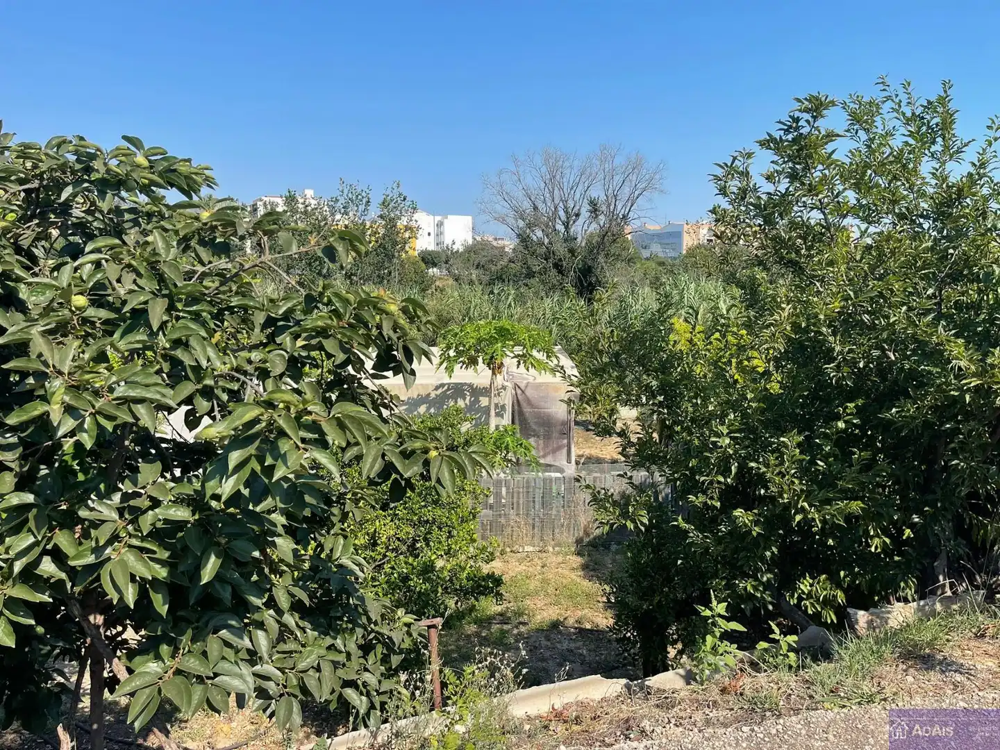 Casa o chalet en venta en Avinguda d'Alacant, 47, Centro Histórico