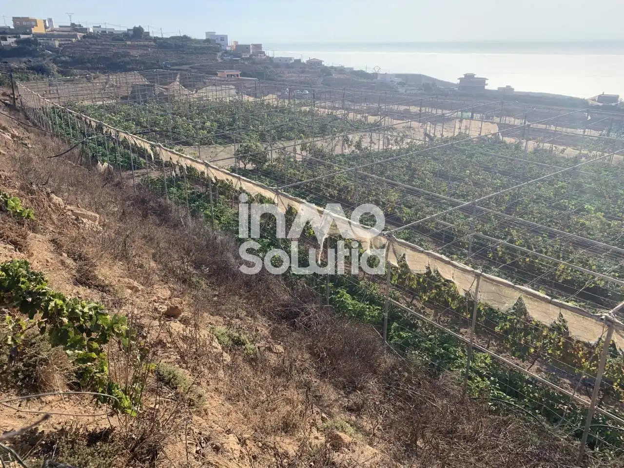 Terreno rustico in vendita a El Capitán, imagen 4