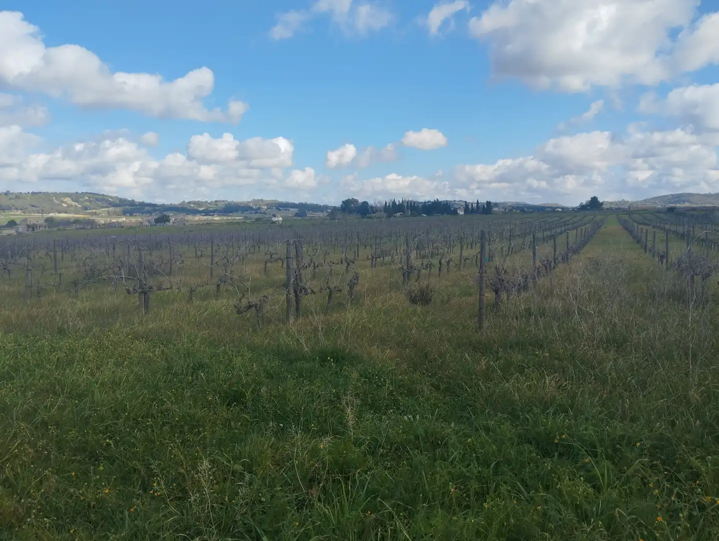 Terrain résidentiel à vendre à Algaida, imagen 6
