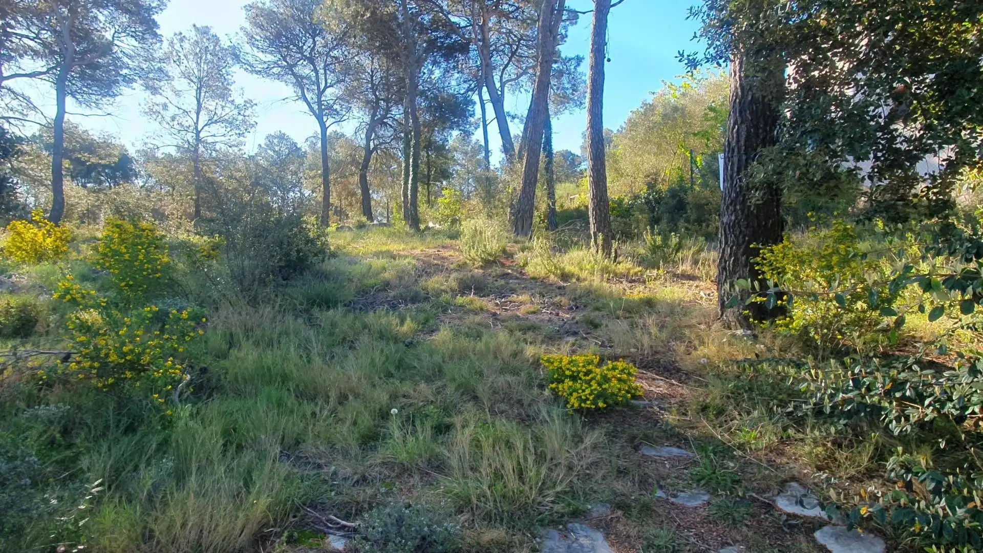 Terreny residencial en venda a Carrer MONTSERRAT (FONT DEL BOSC 122, imagen 4