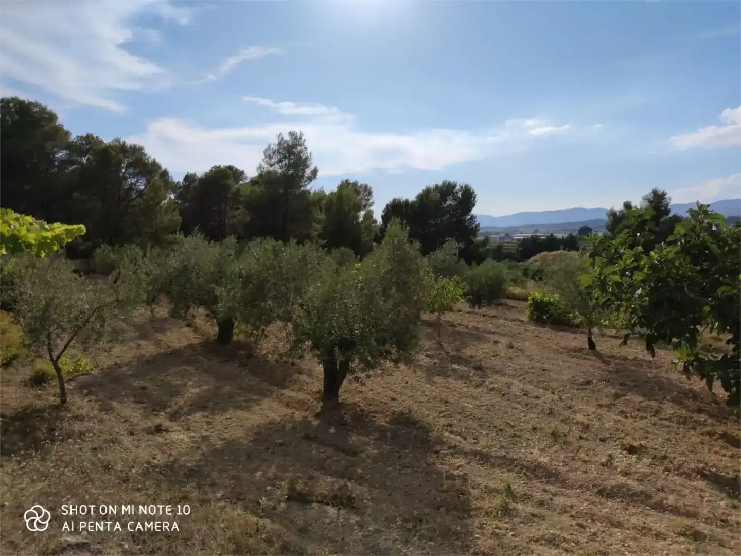 Finca rústica en venda en Ibi