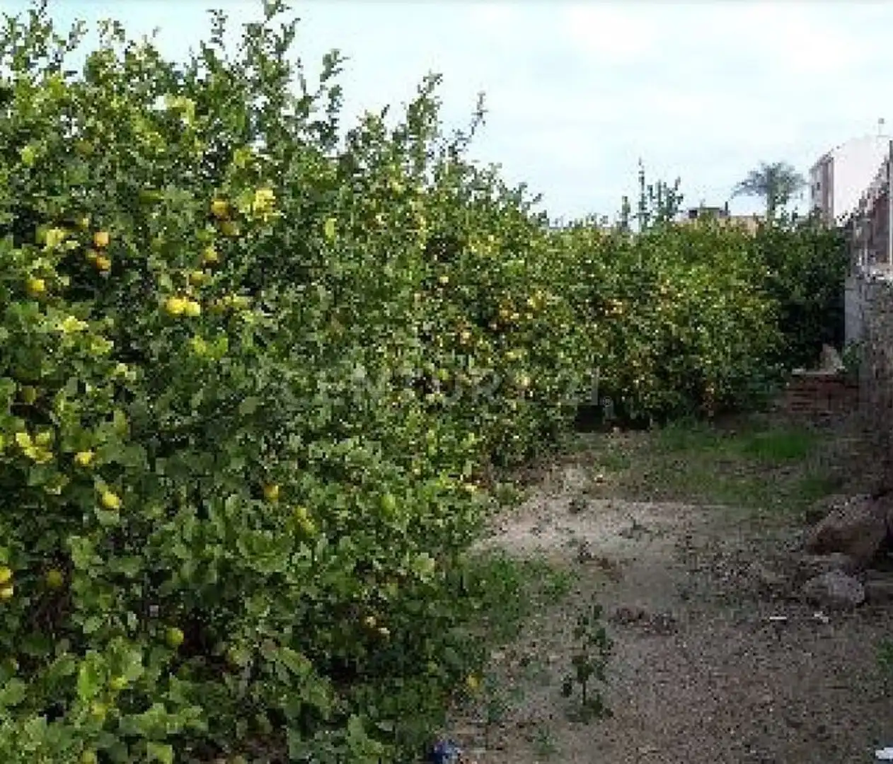 Terreno en venta en Camino de los Pinos, San José de la Vega