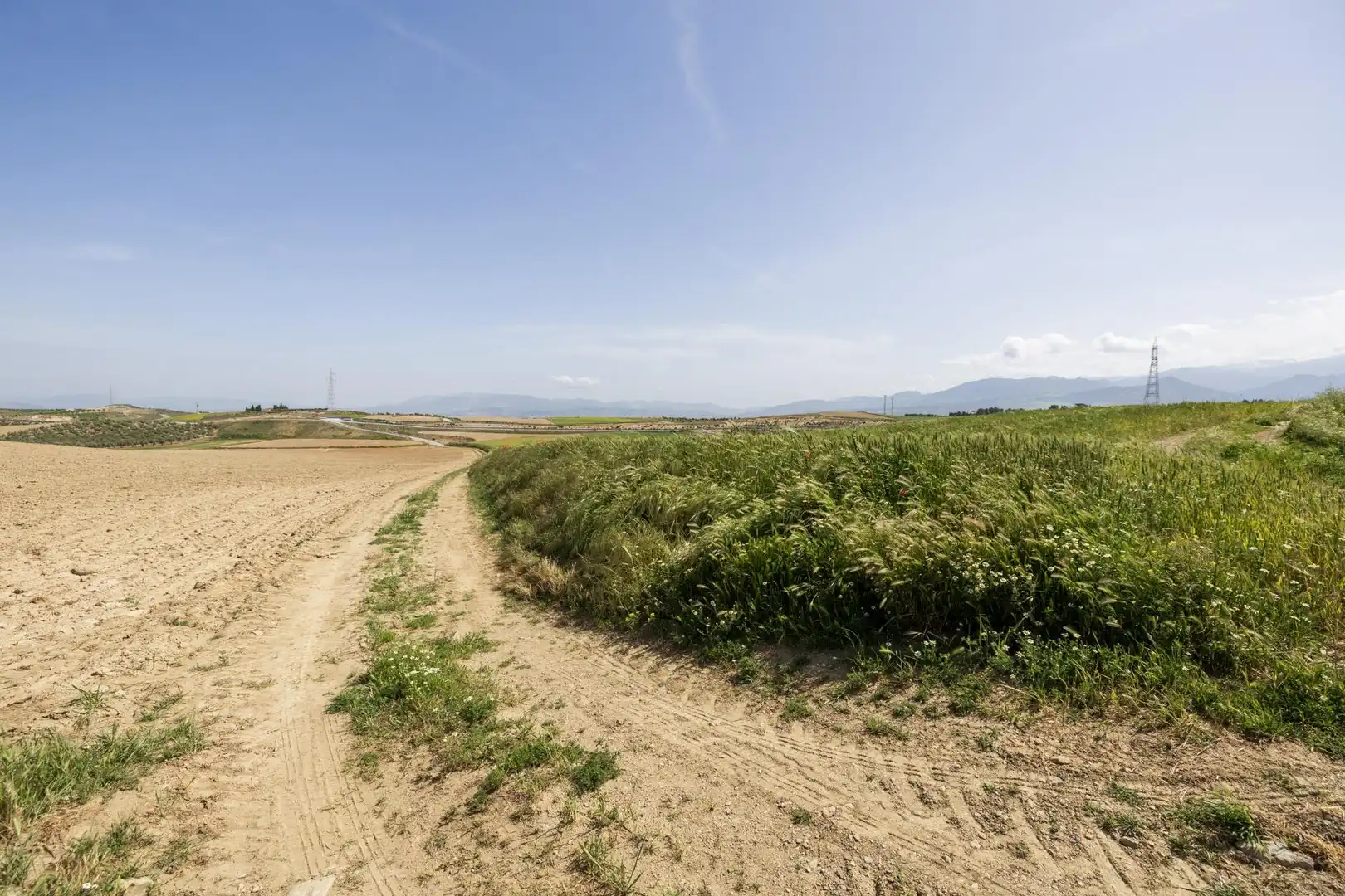 Lands and plots for sale in Otura 6, imagen 15