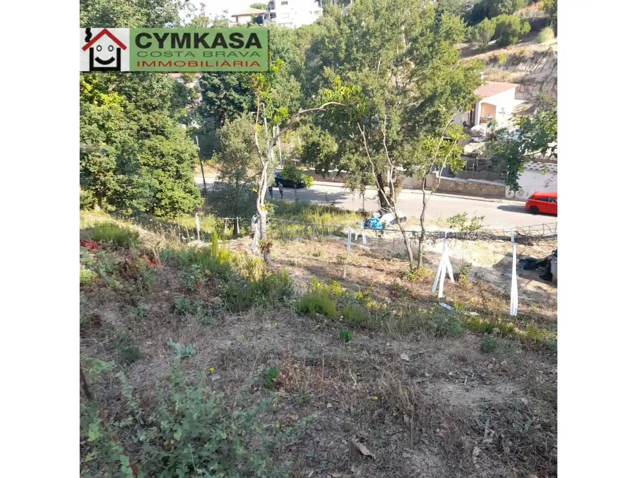 Terreno rustico in vendita a Montbarbat, imagen 4