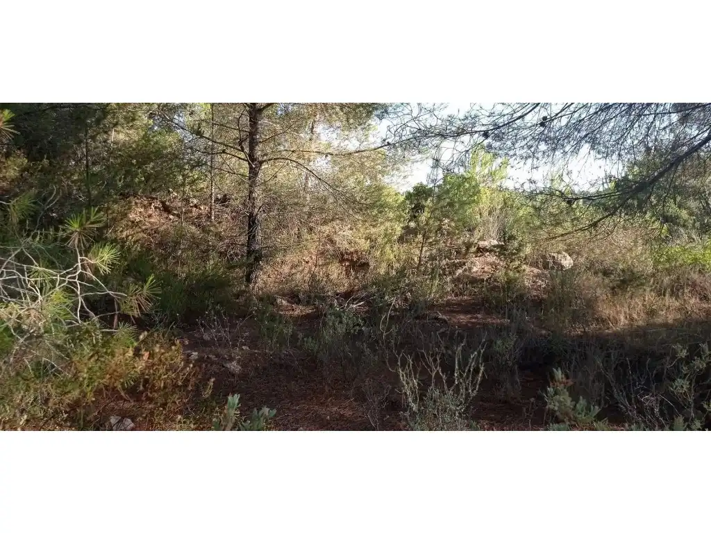 Terreny rústic en venda a Sant Antoni de Portmany, imagen 7