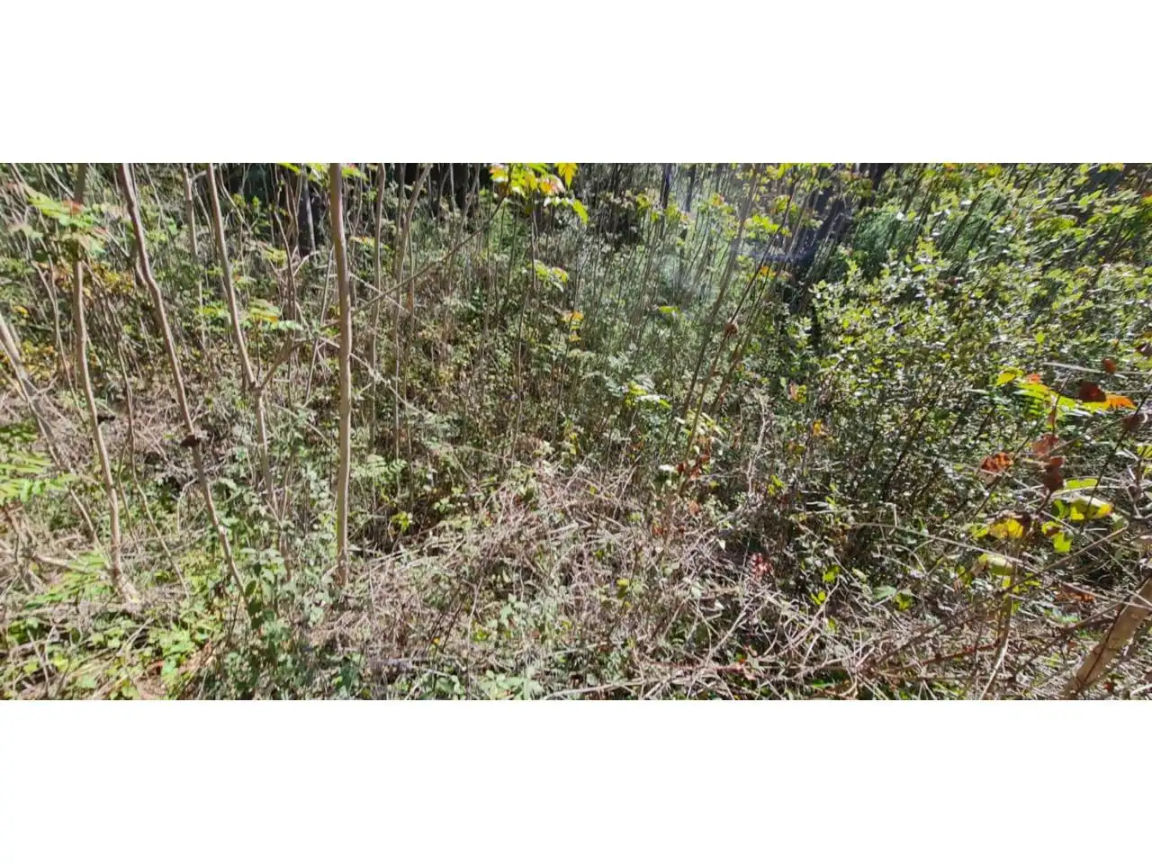 Rural land for sale in Lliçà d'Amunt, imagen 29