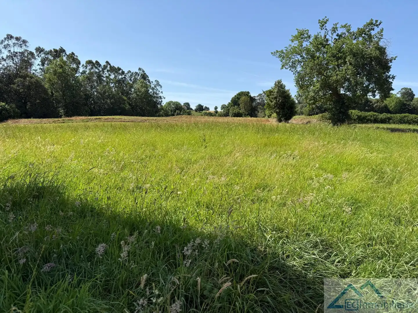 Lands and plots for sale in La Llastra