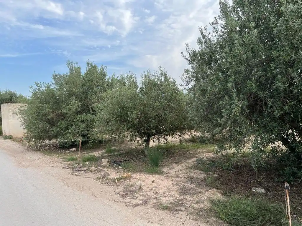 Terreny rústic en venda a Pedanías Oeste, imagen 2