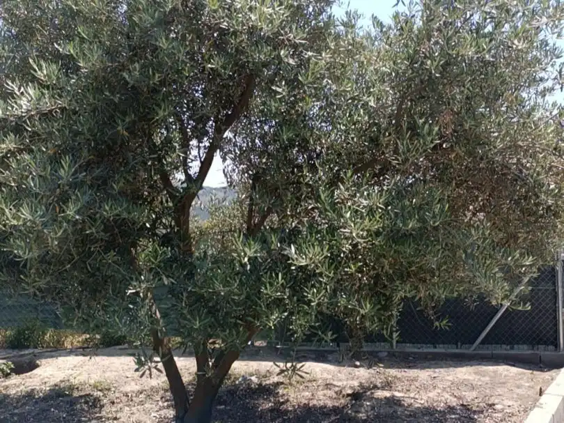 Jardín de Terreno en venta en Ugíjar