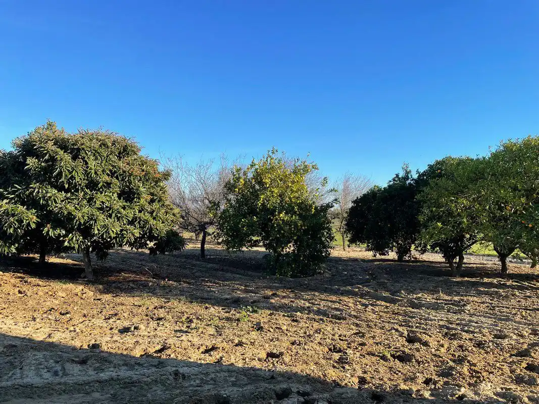Finca rústica en venda a Bollullos Par del Condado