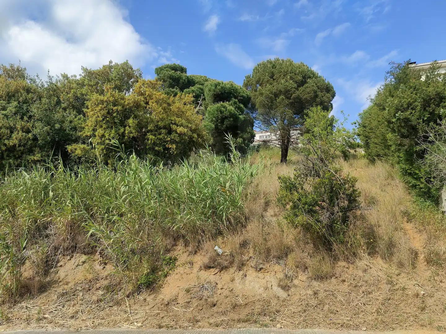 Residential land for sale in Calella, imagen 7