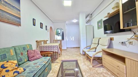 Foto 5 de Planta baixa de lloguer a El Molino, Torrevieja