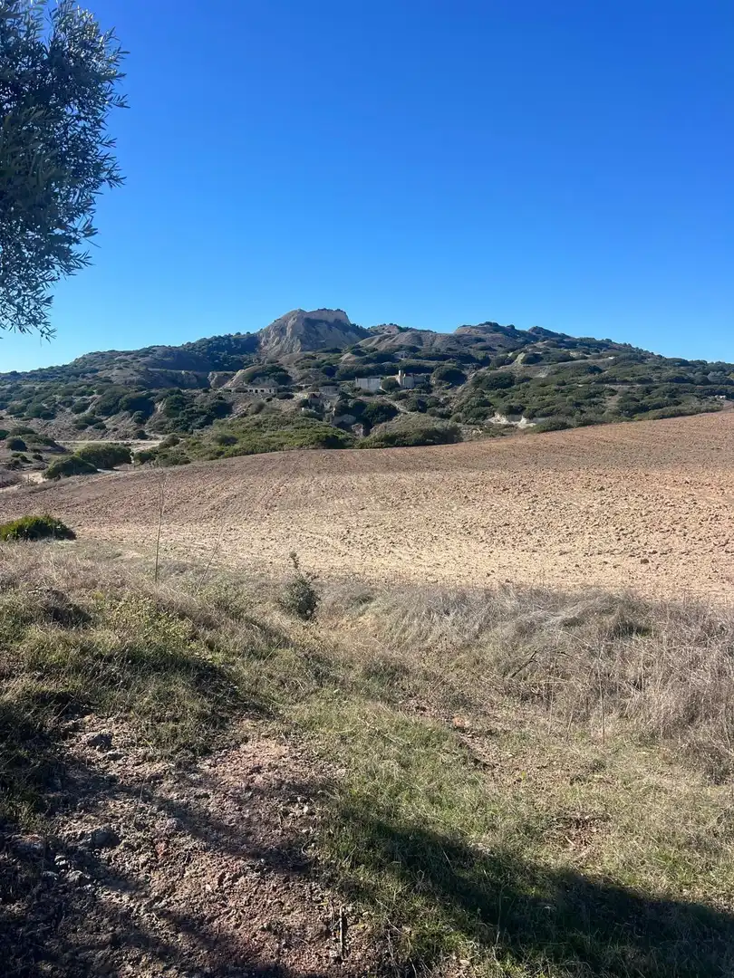 Terreny rústic en venda a Medina Sidonia, imagen 6