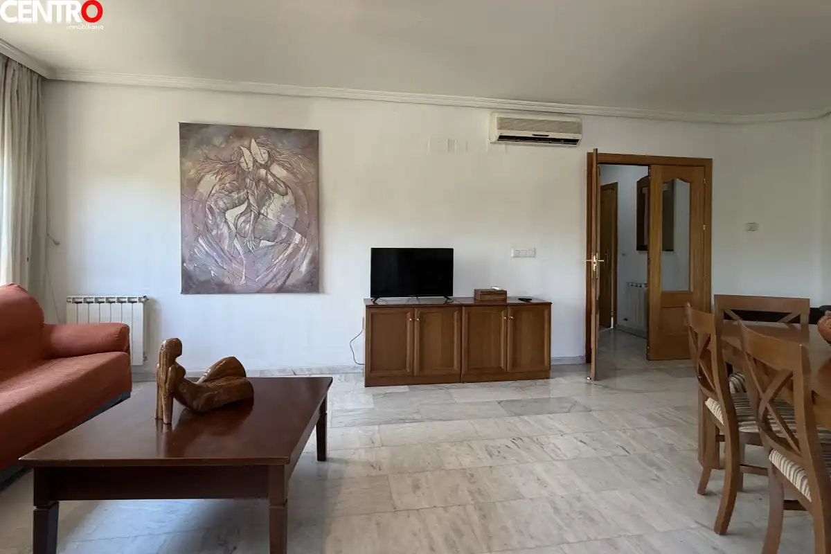 Sala de estar de Piso en venta en Granada con Aire acondicionado, Calefacción y Jardín privado