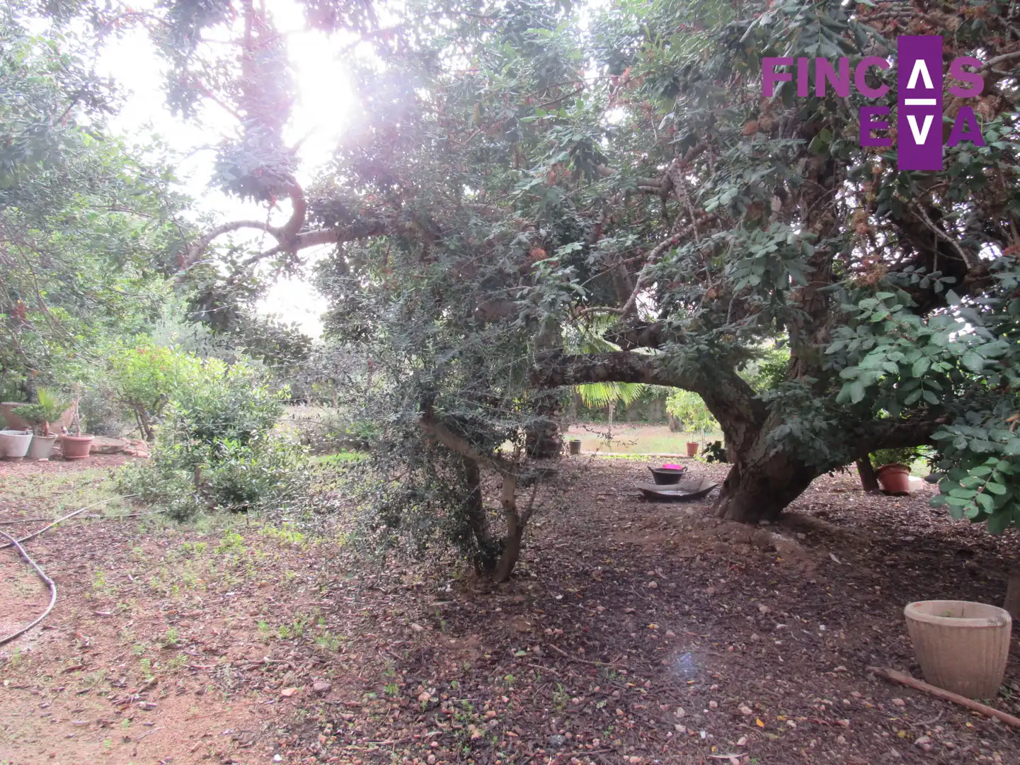 Residential land for sale in Tarragona - LLORITO, imagen 15