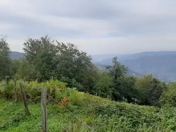 Finca rústica en venda en Aller amb Moblat