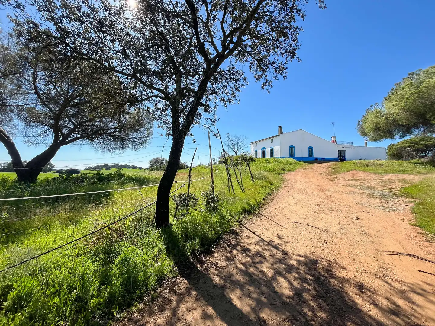 Vista exterior de Casa o chalet en venta en Trigueros con Calefacción y Terraza