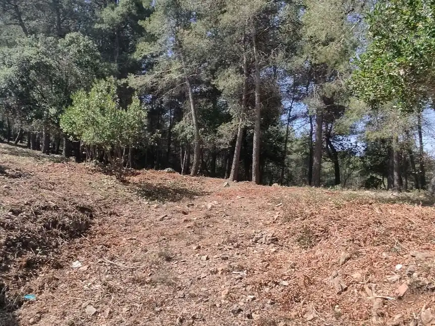 Terreno residencial en venta en Sant Sever 45, imagen 10