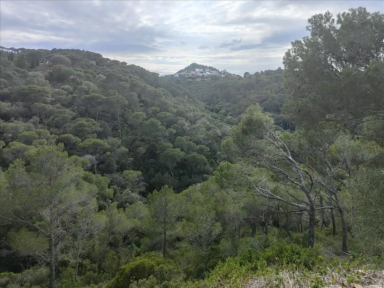 Residential zum Verkauf in Begur