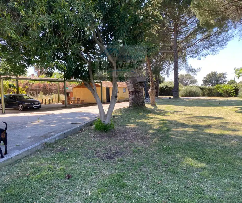 Casa rústica en venda a Diseminado Dehesa los Pinos, imagen 7