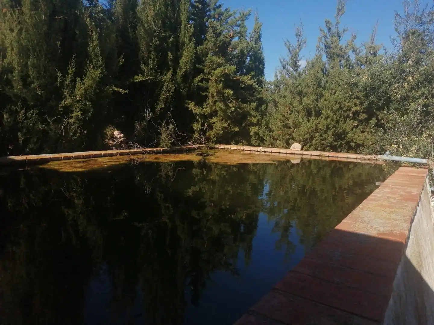 Villa in vendita a Riudoms, imagen 45