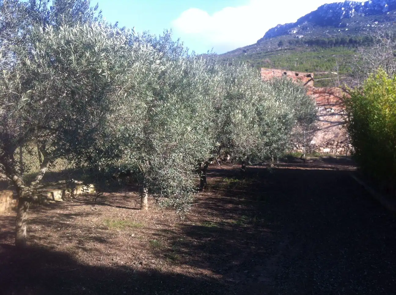 Garden of Country homes for sale in Vilaverd  with Private garden, Terrace and Storage room