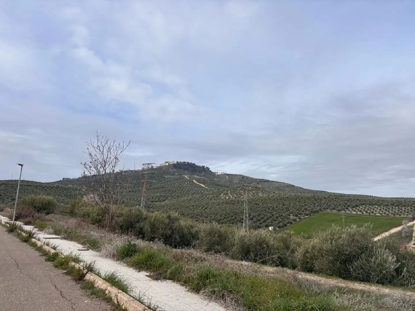 Terreni e lotti in vendita a Villanueva del Arzobispo, imagen 4