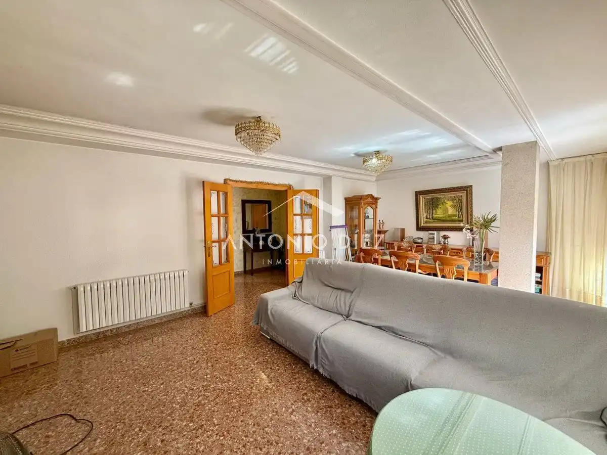 Living room of Flat for sale in Aspe  with Air Conditioner