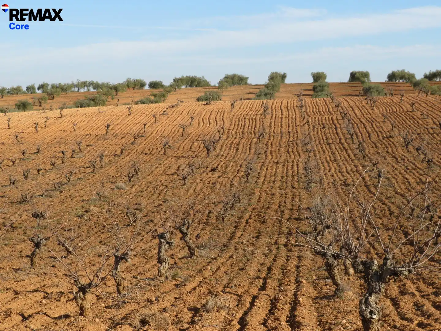 Grundstücke zum Verkauf in La Zarza (Badajoz)