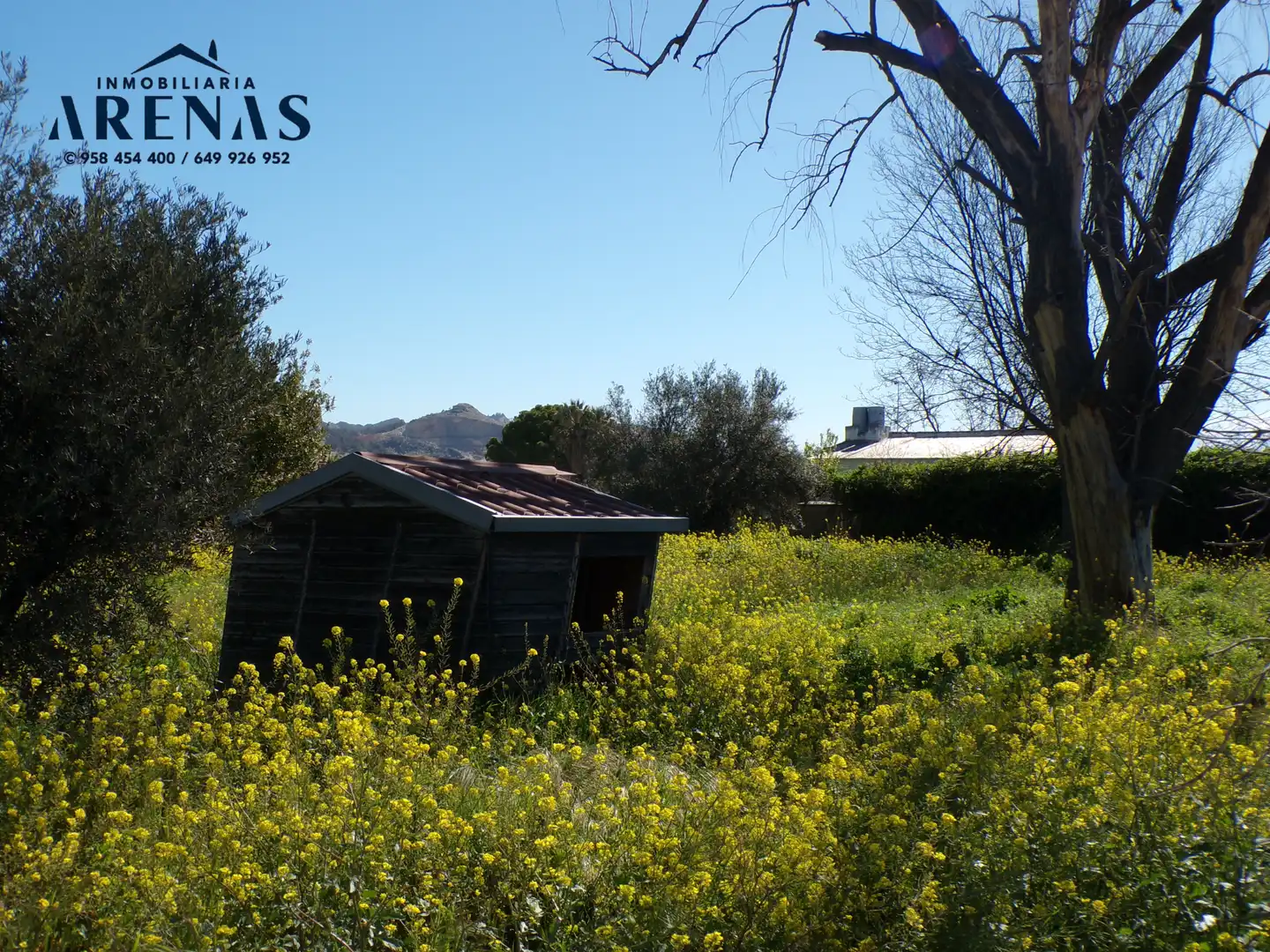 Terrains et parcelles à vendre à Calle Pedro Salinas, imagen 4
