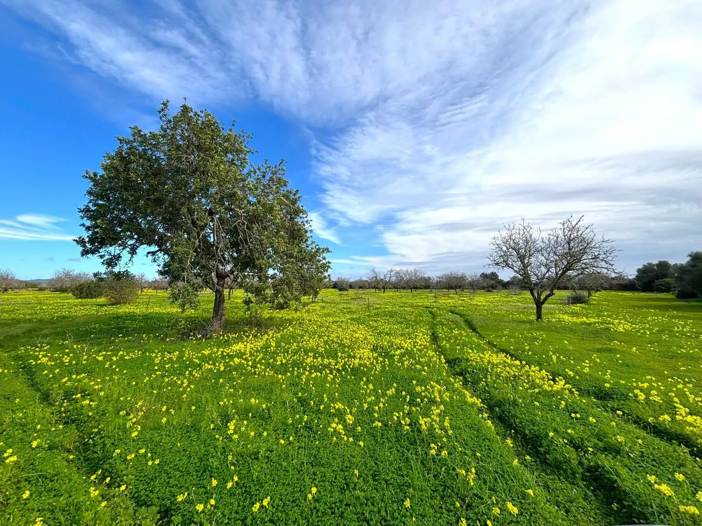 Residential land for sale in Zona Rústica - Interior, imagen 6