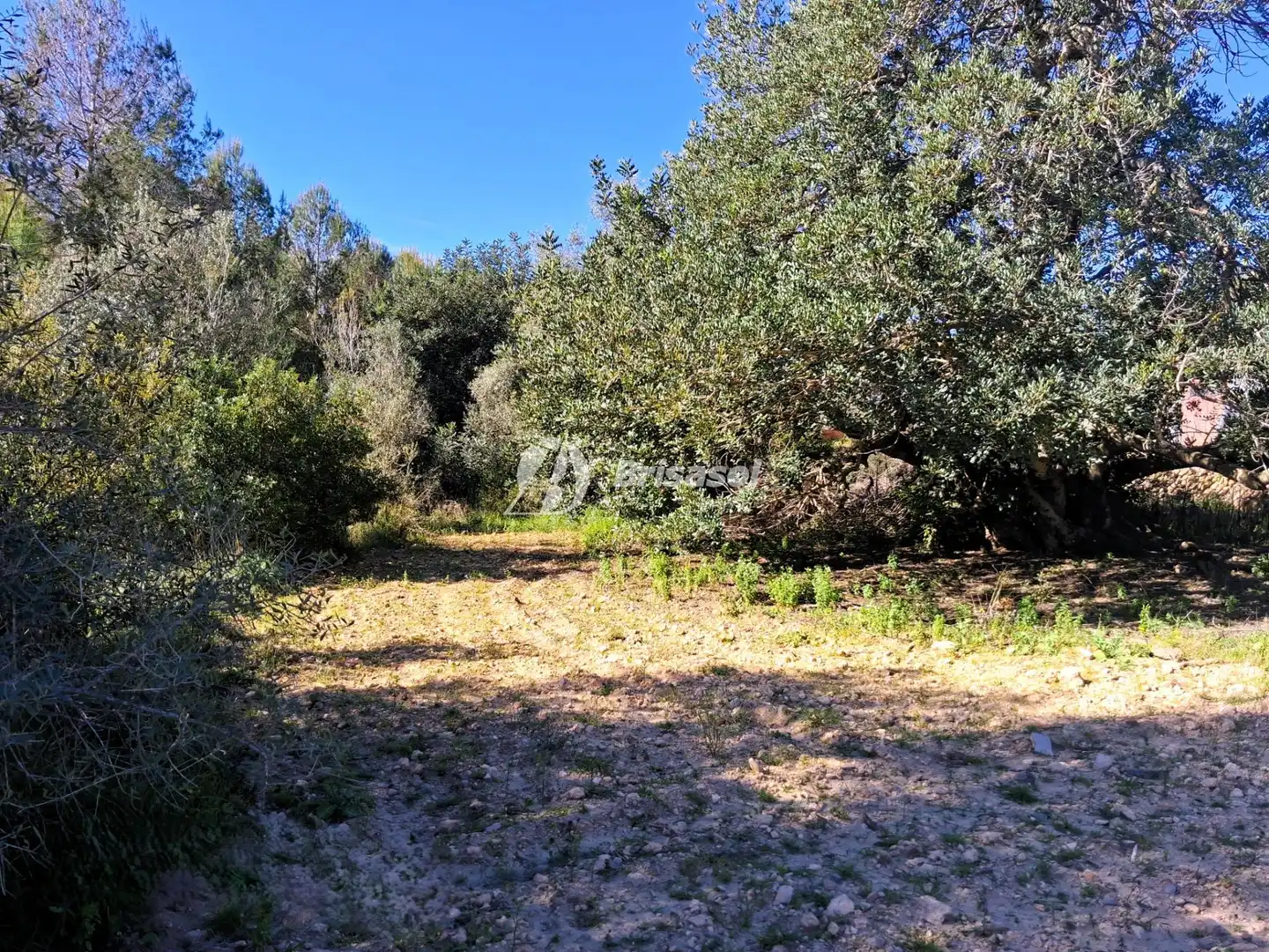 Rural land for sale in La Secuita, imagen 9