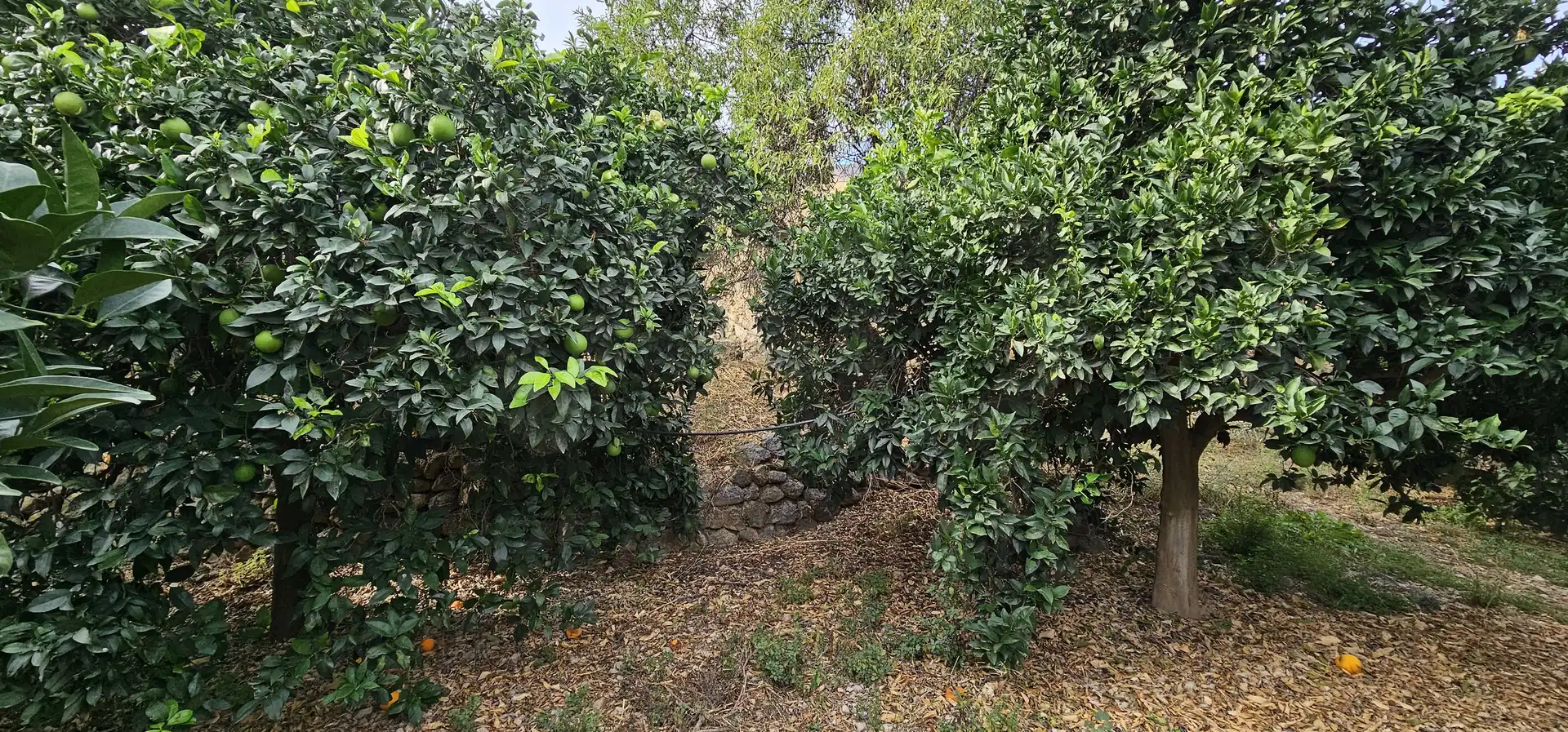 Residencial en venda en Íllar